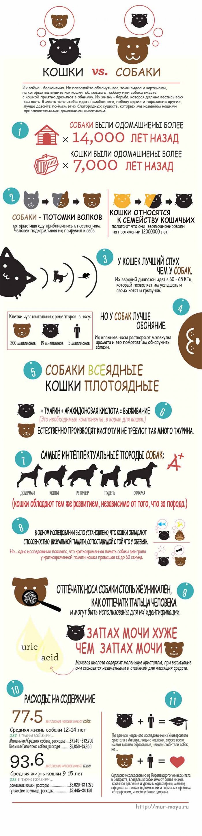 Собаки или Кошки?