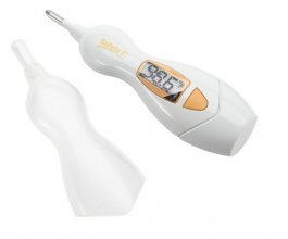 Как и чем измерить температуру у кошки